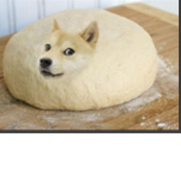 doge city
