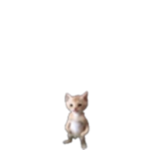M o o ds