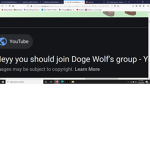 WOLF GROUP THIS INCLUDES DOGES :3