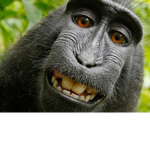 Monkey Man Club Idk