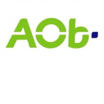 Advanced Obby Builders (AOB)