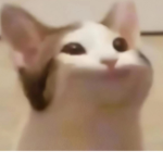 Richpopcat