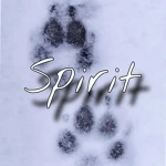 Spirit \ Group Thumbnail