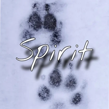 Spirit \ Roblox group icon