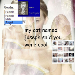 >ᴗ<