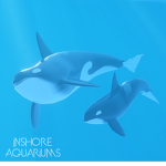 Inshore Aquariums