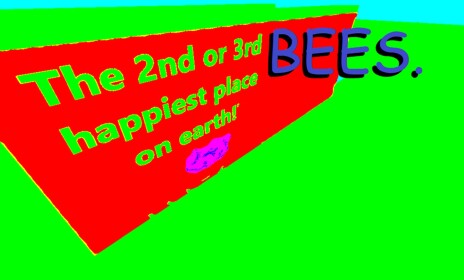 BEES.