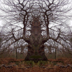 distorted dream