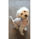 Remembering Daisy