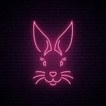 Pinkmic