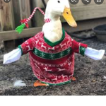 Ducks clothingg