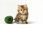 ★ ❤ Cat Lovers ❤ ★