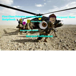 TROLL PATROL AGENTS