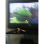 The Kermit and Elmo Group! Welcomes