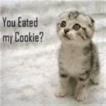 Join this Group if you love kitties:3