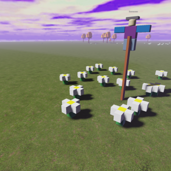 Recarnation flowers