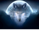 The epic wolf fans