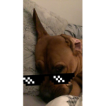 Minni is cute