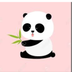Panda squad for panda fans