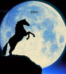 Equinox Equestrian Horse Club
