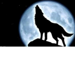 wolfs in the shadow