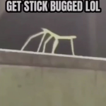 STICK BUG V2
