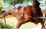Pe.s gamer studios