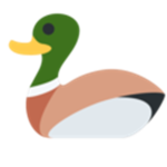 Cult of the Holy Duck
