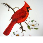 The Red Bird Squad