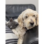 Payton Loves Pandas