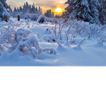 Frosty creator Fan Group