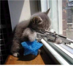 10th Kitten Division