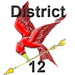Hunger Games Disstrict 12