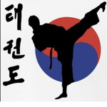 taekwondo master