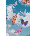The beautiful butterfly’s