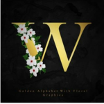 willygroupe