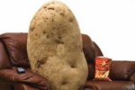 The Couch Potato’s