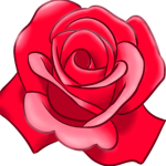 ROSE /CLUB