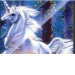 UNICORNIOS GATOS OFICIAL FANS