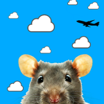 The Clumsy Rats