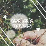 angeIic fIowers