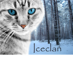 Iceclan by: Icestorm