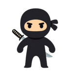 Flying NiNjAA