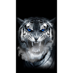 Rapid roar