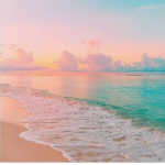 sunsets are beautiful