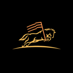 Shainorieis Studio