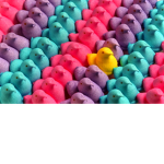~*Fellow Peep Crew*~