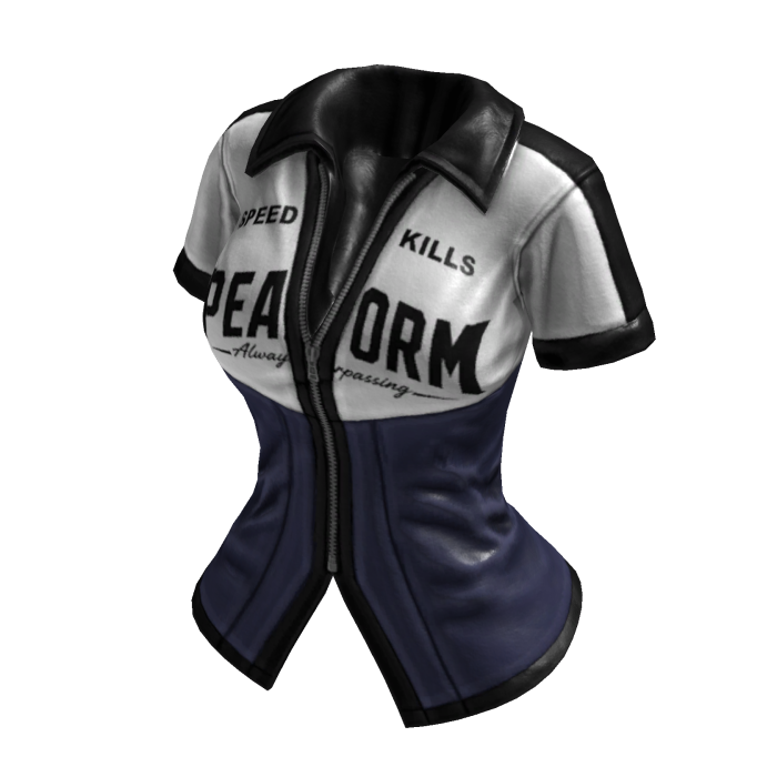 Y2K Sporty Streetracer Jacket (Dark Blue White)
