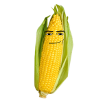Spicy Corporation