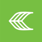 Cariuma